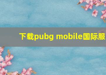 下载pubg mobile国际服